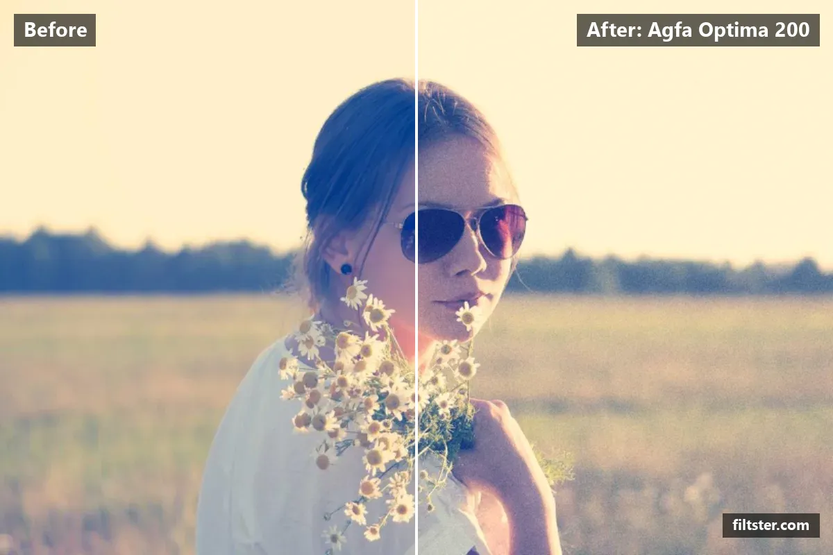 Agfa Optima 200 filter before and after. Adds film grain.