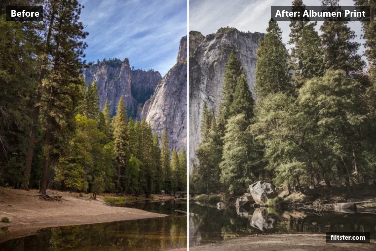 Albumen Print filter before and after. Lifts the blacks for a faded, matte finish, mutes the colours, tints shadows golden and highlights golden and adds film grain.