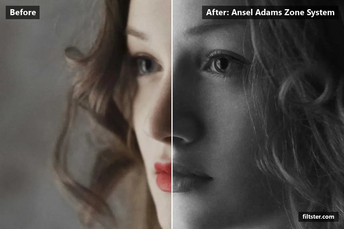 Ansel Adams Zone System filter before and after. Turns the picture black and white, adds strong contrast and adds film grain.