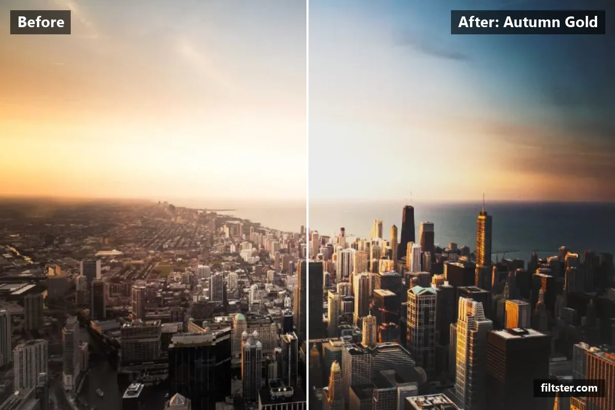 Autumn Gold filter before and after. Lifts the blacks for a faded, matte finish and adds a golden glow to the highlights.