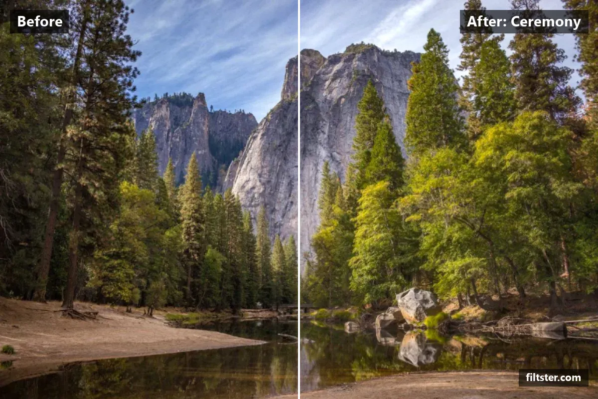 Ceremony filter before and after. Opens up the shadows and recovers bright highlights.