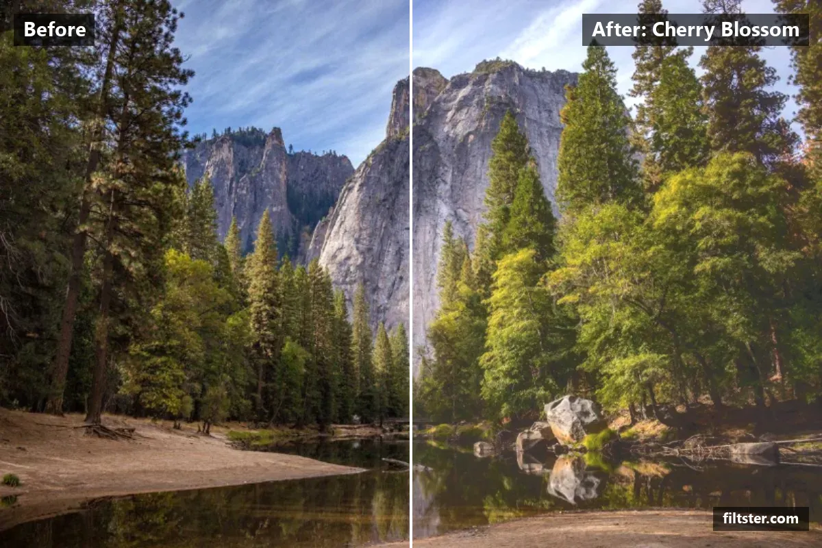 Cherry Blossom filter before and after. Brightens the whole frame, softens contrast, opens up the shadows and recovers bright highlights.