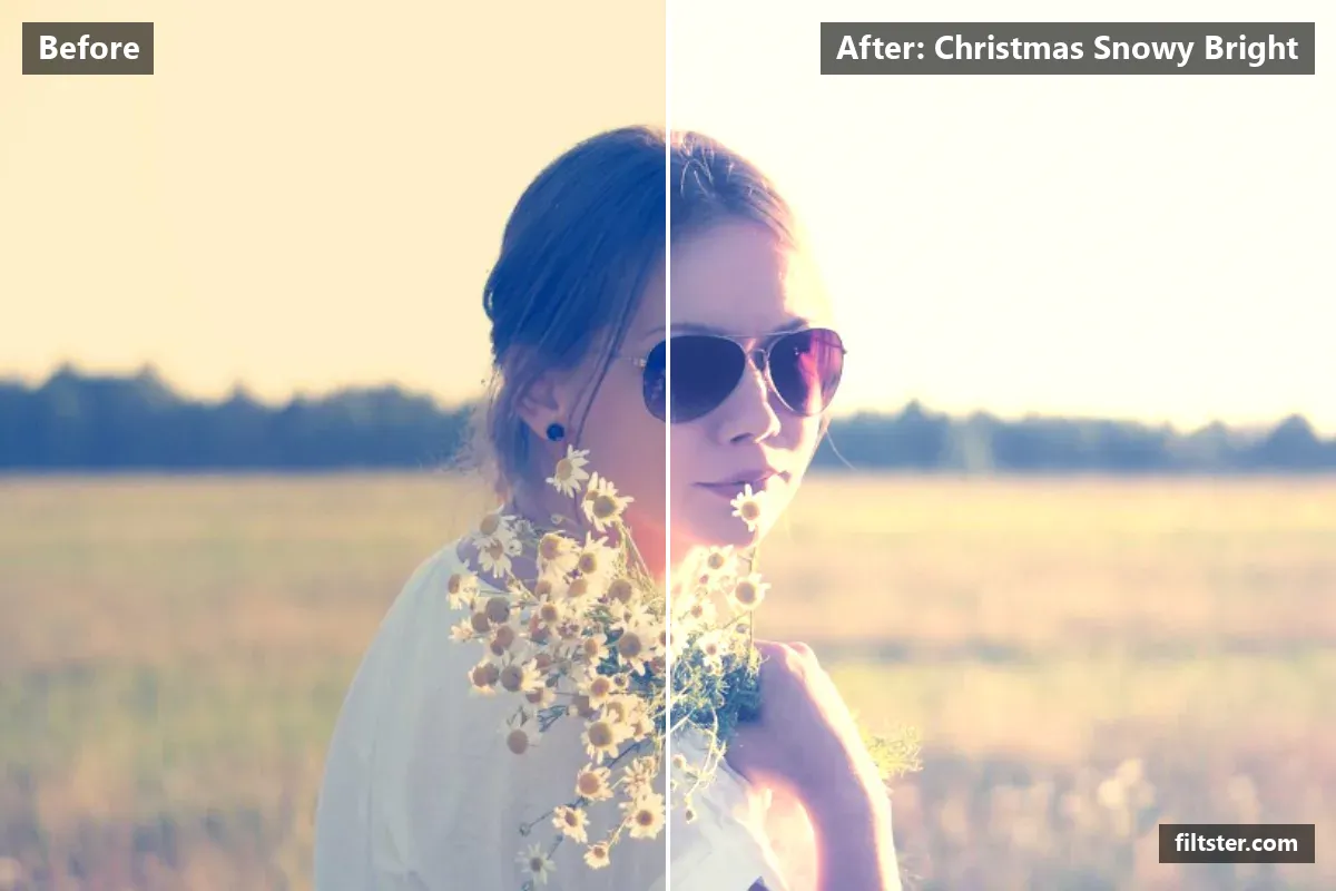 Christmas Snowy Bright filter before and after. Brightens the whole frame, softens contrast, opens up the shadows and recovers bright highlights.
