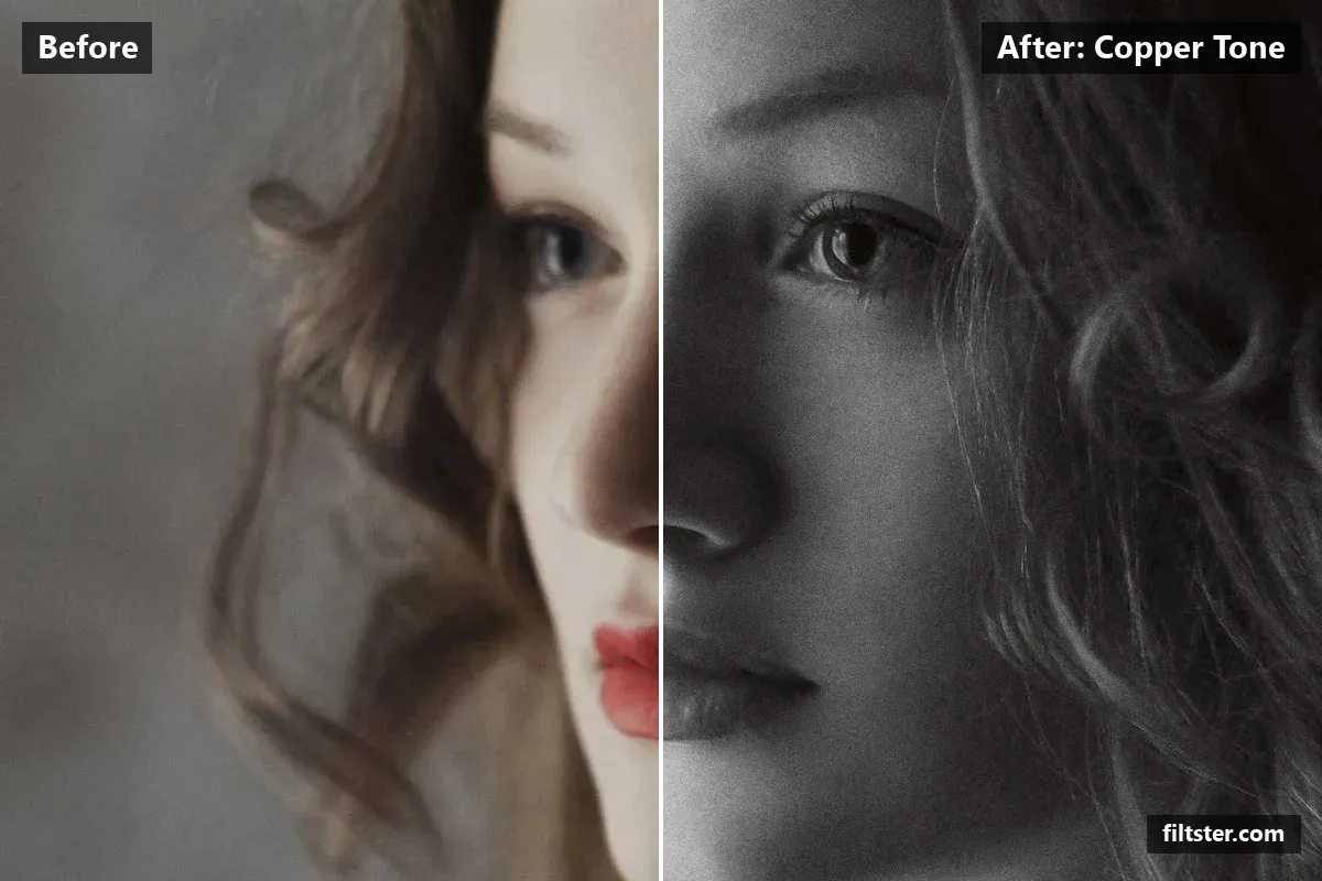 Copper Tone filter before and after. Turns the picture black and white, tones it with a orange tint and adds film grain.