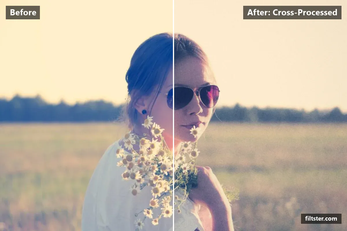 Cross-Processed filter before and after. Adds strong contrast, recovers bright highlights, tints shadows teal and highlights magenta and adds film grain.