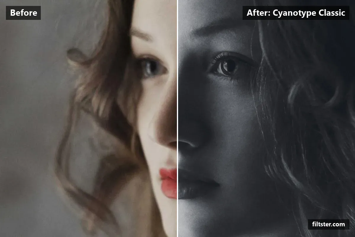 Cyanotype Classic filter before and after. Turns the picture black and white, adds strong contrast, tones it with a blue tint and adds film grain.