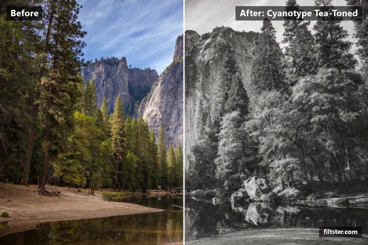 Cyanotype Tea-Toned filter before and after. Turns the picture black and white, adds strong contrast, tones it with a golden tint and adds film grain.