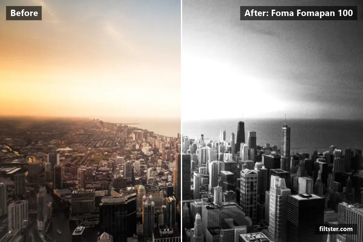 Foma Fomapan 100 filter before and after. Turns the picture black and white and adds film grain.