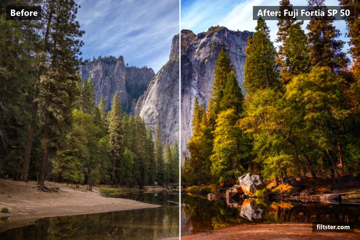 Fuji Fortia SP 50 filter before and after. Adds strong contrast, recovers bright highlights and adds a indigo cast to the shadows.