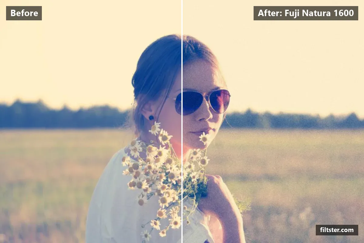 Fuji Natura 1600 filter before and after. Opens up the shadows, recovers bright highlights and adds film grain.