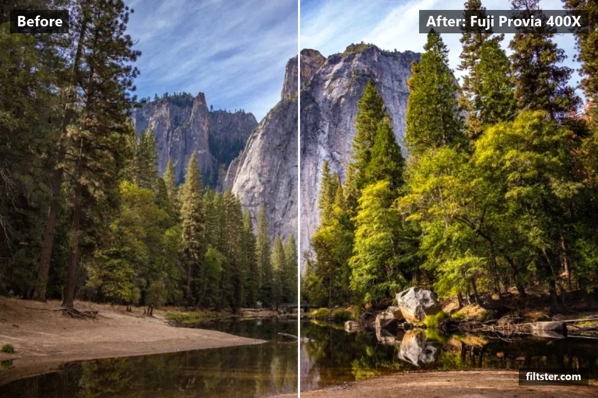Fuji Provia 400X filter before and after. Adds film grain.
