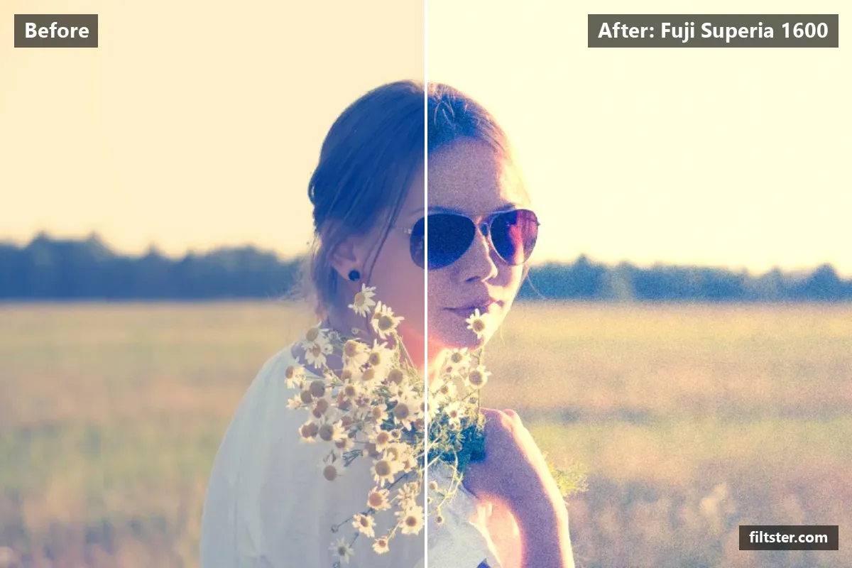 Fuji Superia 1600 filter before and after. Adds strong contrast, recovers bright highlights, adds a blue cast to the shadows and adds film grain.