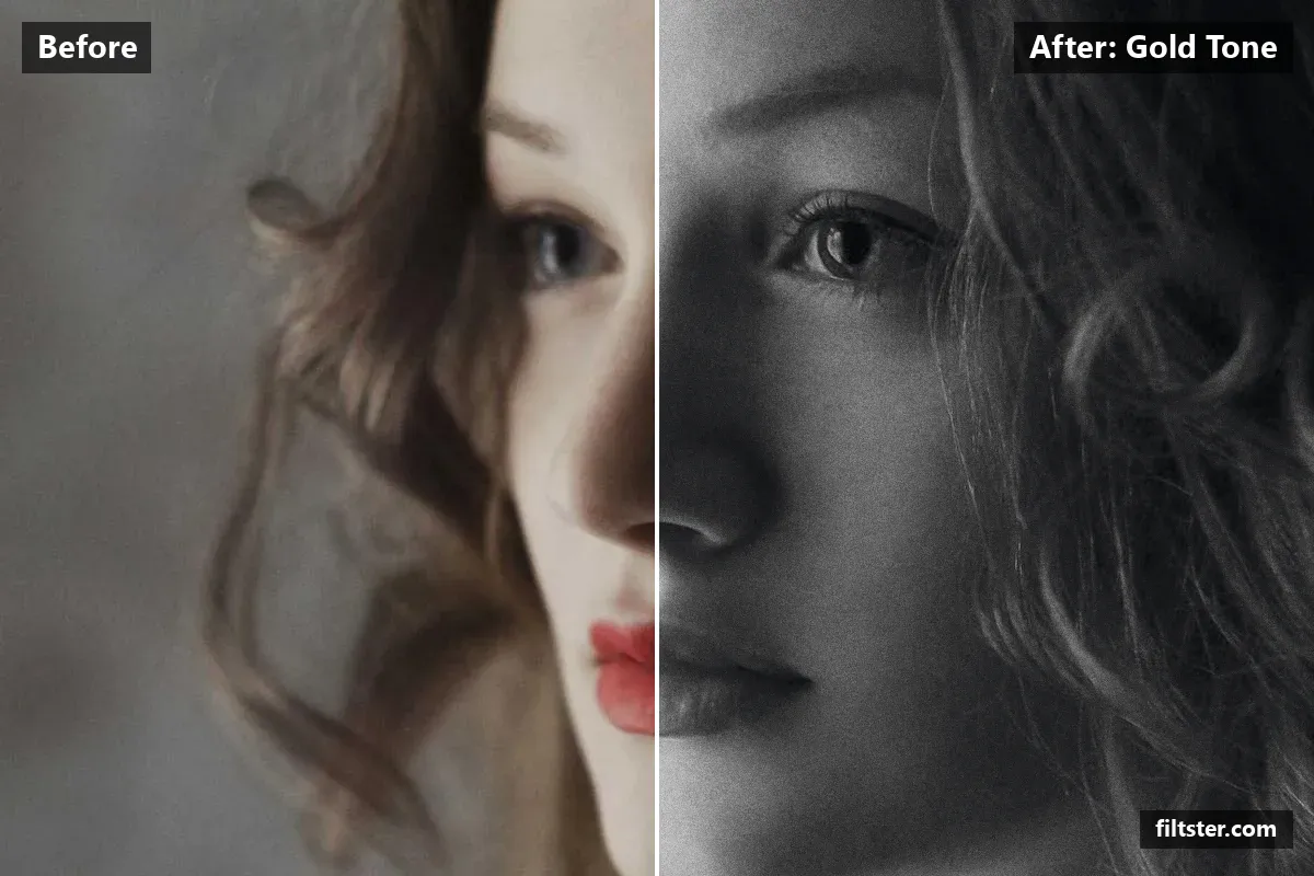 Gold Tone filter before and after. Turns the picture black and white, tones it with a indigo tint and adds film grain.