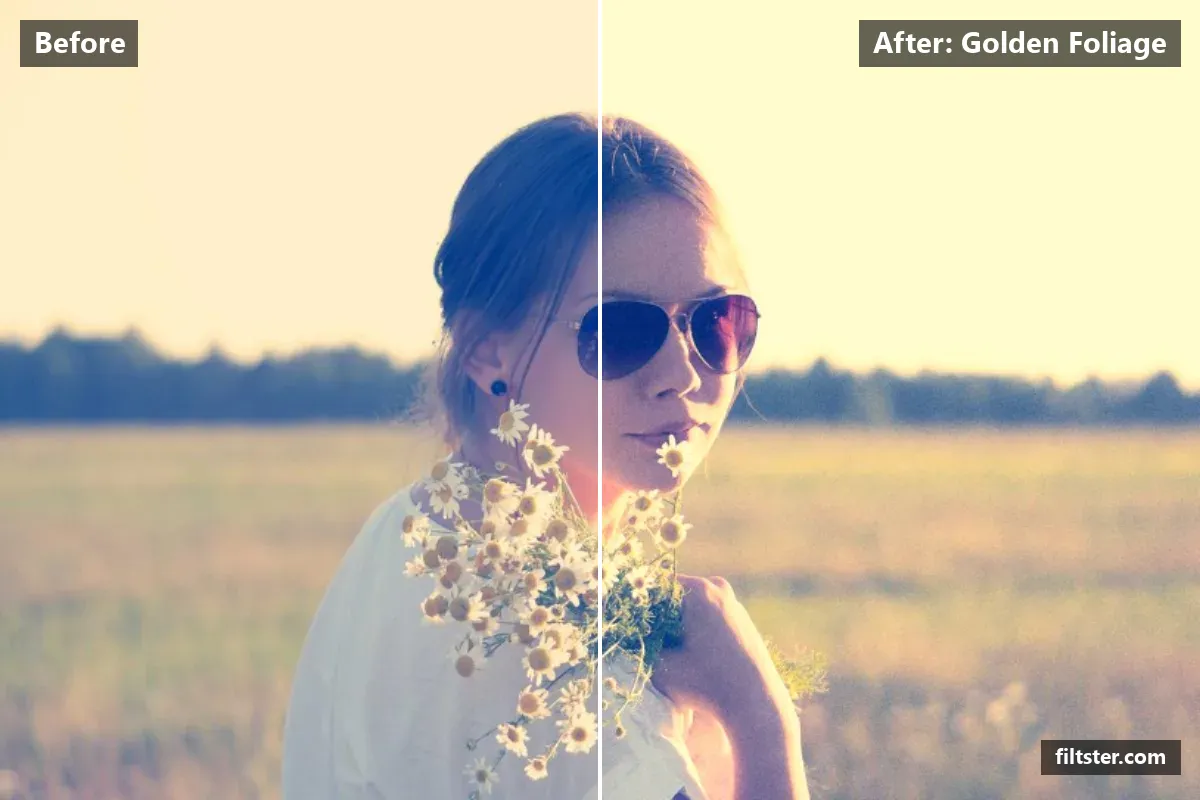 Golden Foliage filter before and after. Recovers bright highlights, adds a golden glow to the highlights and adds film grain.