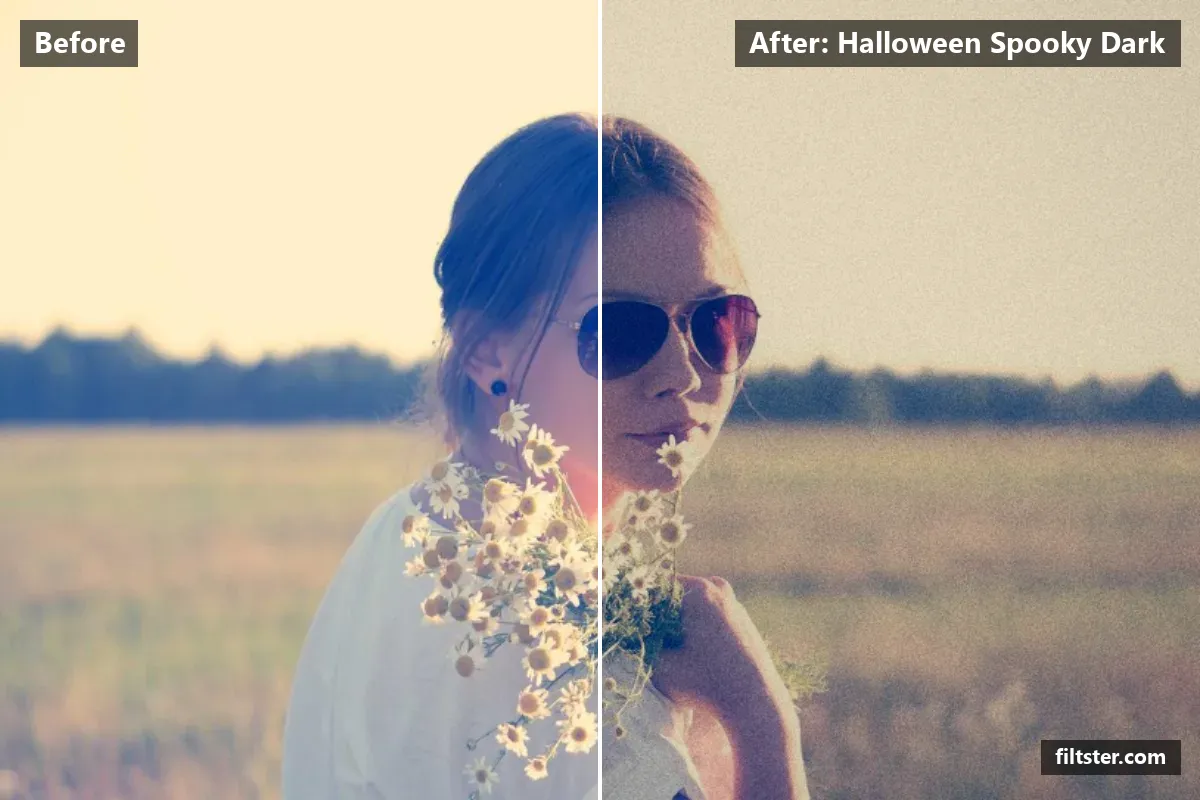 Halloween Spooky Dark filter before and after. Darkens the exposure for a moodier feel, adds strong contrast, recovers bright highlights, adds a blue cast to the shadows, cuts through haze, adds film grain and darkens the corners with a vignette.