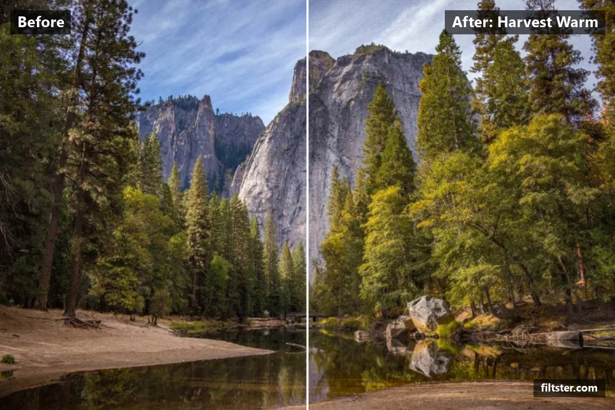 Harvest Warm filter before and after. Recovers bright highlights, adds a orange cast to the shadows and adds film grain.