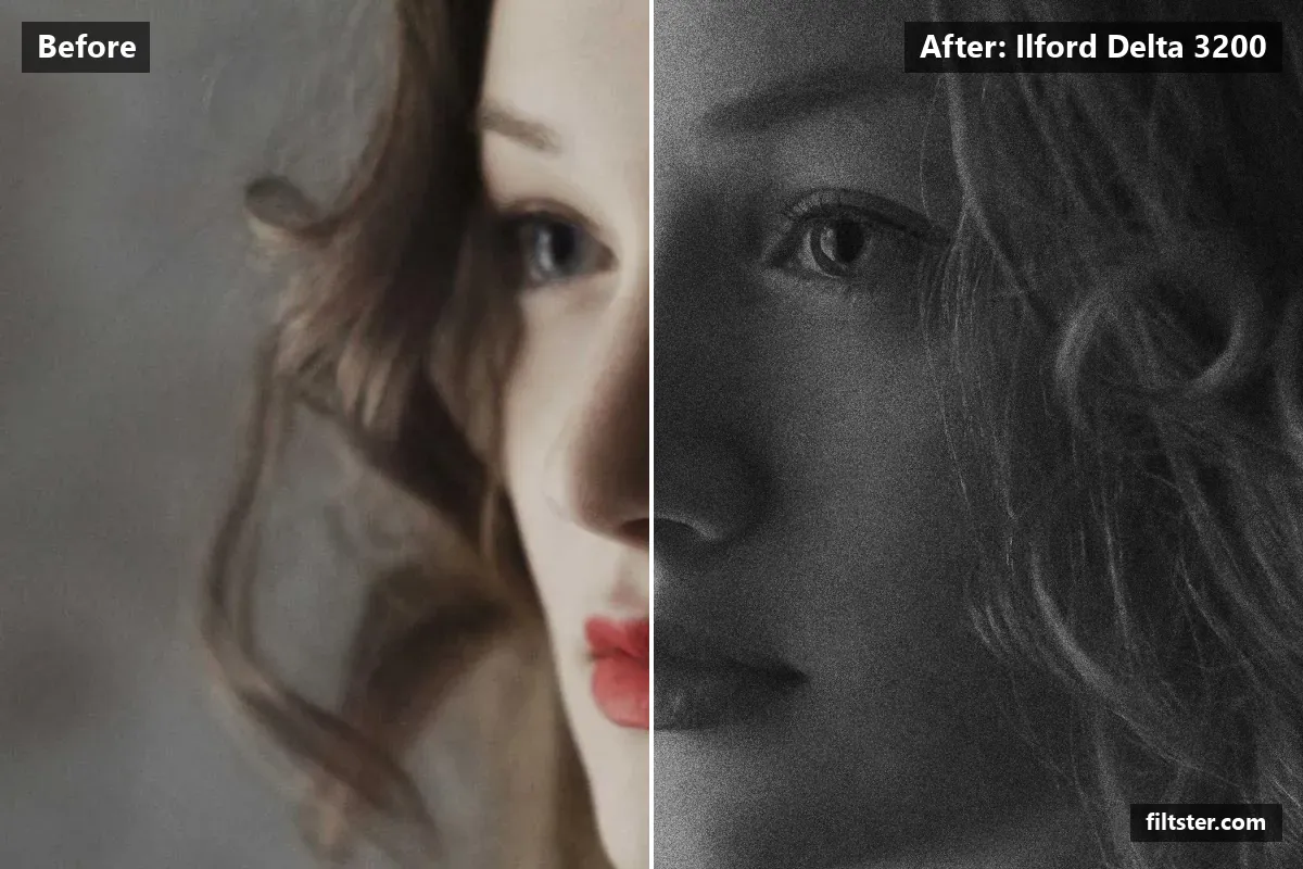 Ilford Delta 3200 filter before and after. Turns the picture black and white, softens contrast, recovers bright highlights and adds film grain.