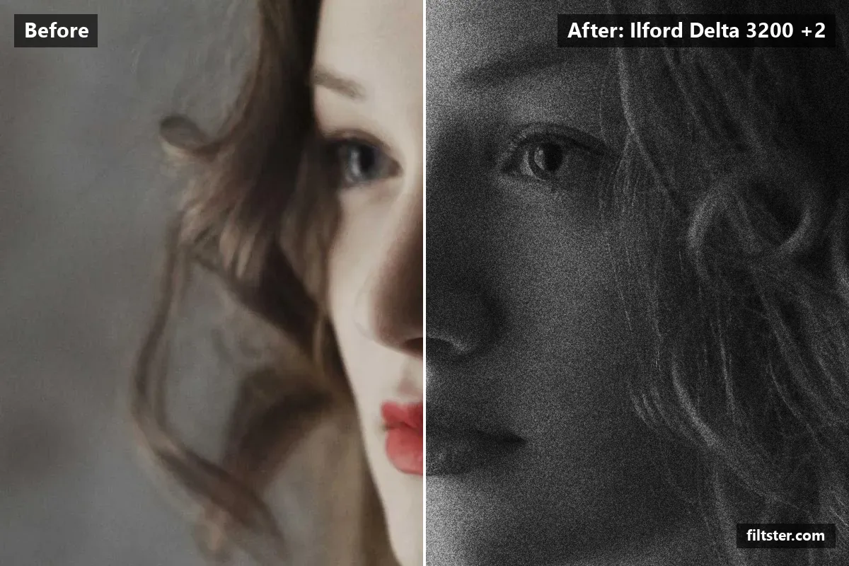 Ilford Delta 3200 +2 filter before and after. Turns the picture black and white, recovers bright highlights and adds film grain.