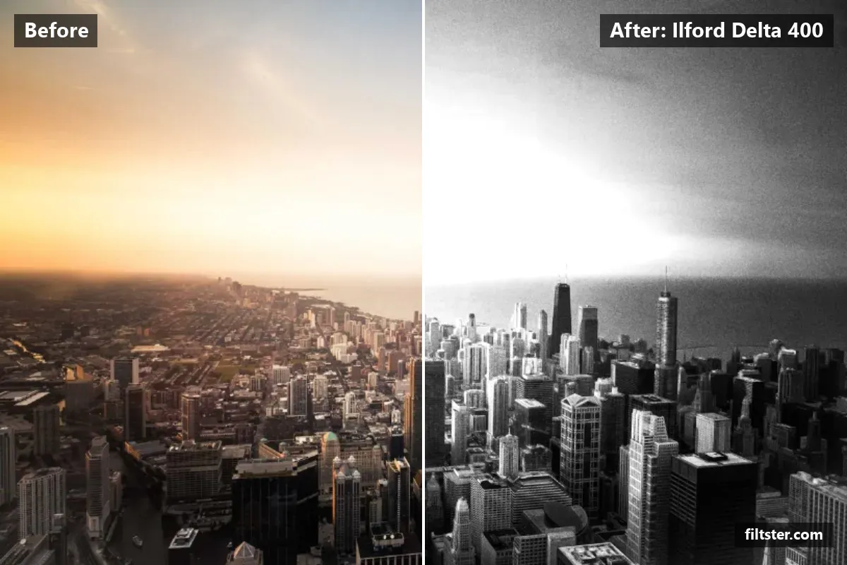 Ilford Delta 400 filter before and after. Turns the picture black and white, adds strong contrast and adds film grain.