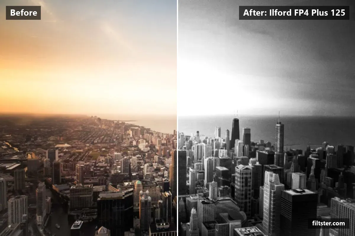 Ilford FP4 Plus 125 filter before and after. Turns the picture black and white and adds film grain.