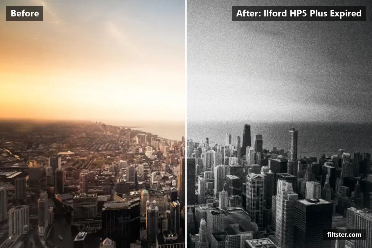 Ilford HP5 Plus Expired filter before and after. Turns the picture black and white, tones it with a blue tint and adds film grain.
