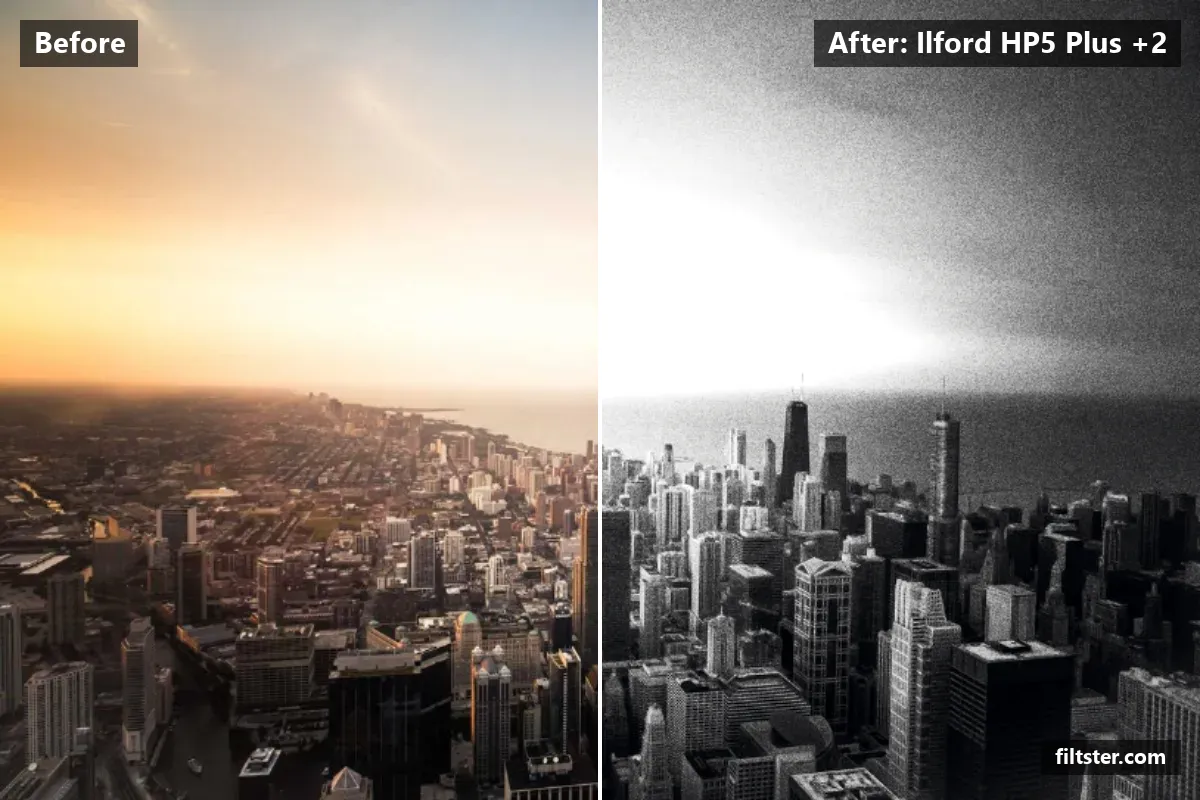 Ilford HP5 Plus +2 filter before and after. Turns the picture black and white, adds strong contrast, recovers bright highlights and adds film grain.