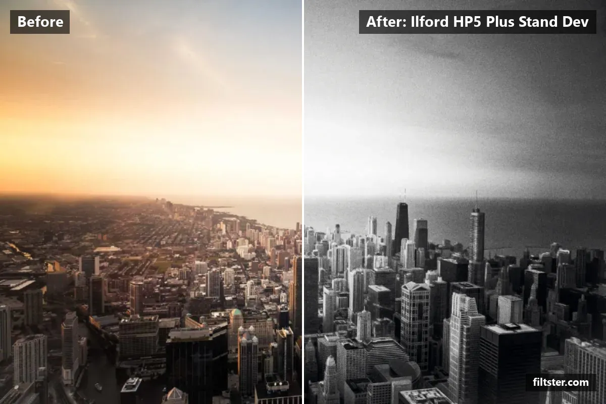 Ilford HP5 Plus Stand Dev filter before and after. Turns the picture black and white, opens up the shadows and adds film grain.