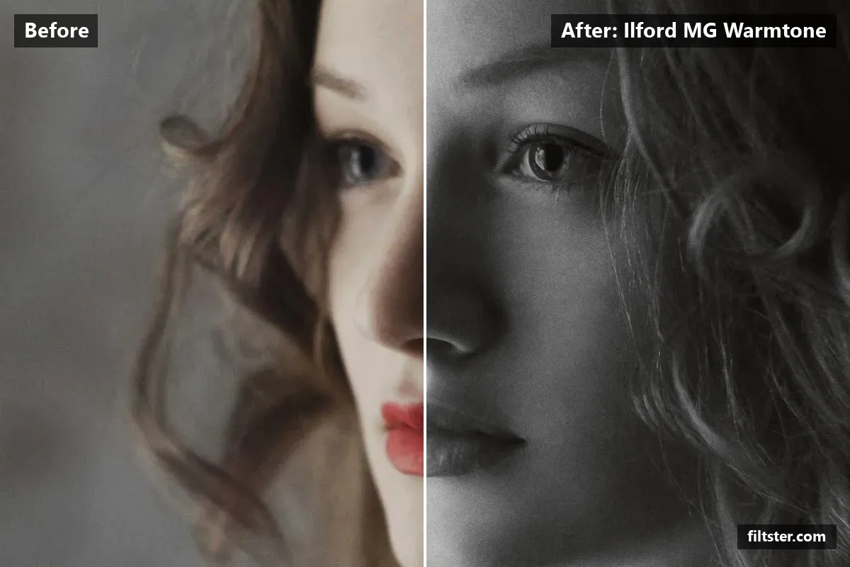 Ilford MG Warmtone filter before and after. Turns the picture black and white, tones it with a orange tint and adds film grain.
