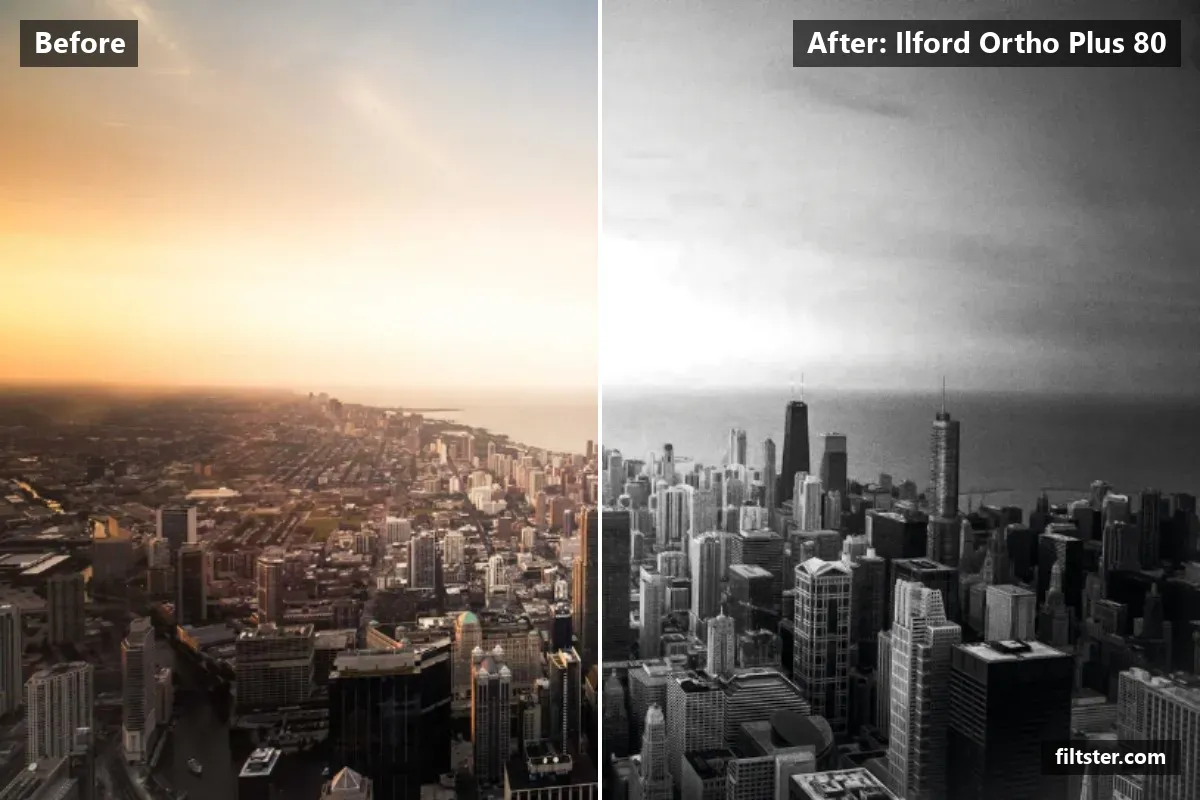 Ilford Ortho Plus 80 filter before and after. Turns the picture black and white and adds film grain.