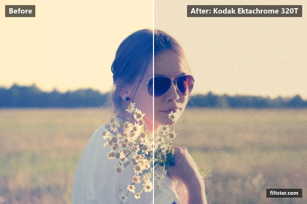 Kodak Ektachrome 320T filter before and after. Adds strong contrast, recovers bright highlights, tints shadows blue and highlights magenta and adds film grain.