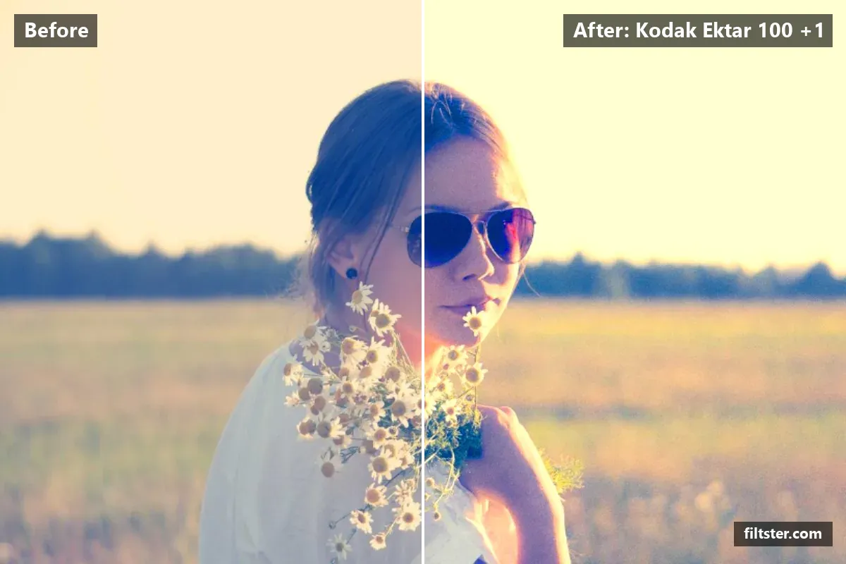 Kodak Ektar 100 +1 filter before and after. Adds strong contrast, recovers bright highlights and adds film grain.