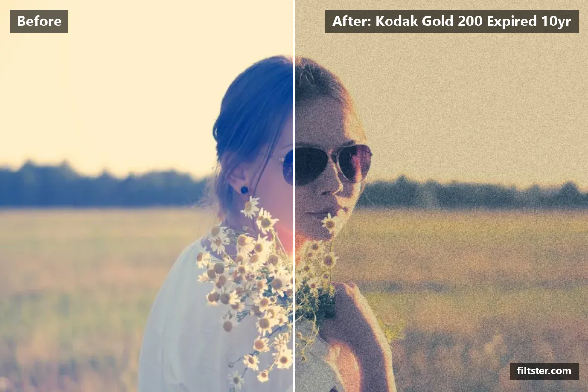 Kodak Gold 200 Expired 10yr filter before and after. Softens contrast, opens up the shadows, recovers bright highlights, tints shadows teal and highlights golden and adds film grain.