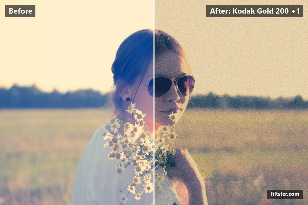 Kodak Gold 200 +1 filter before and after. Recovers bright highlights, tints shadows blue and highlights golden and adds film grain.