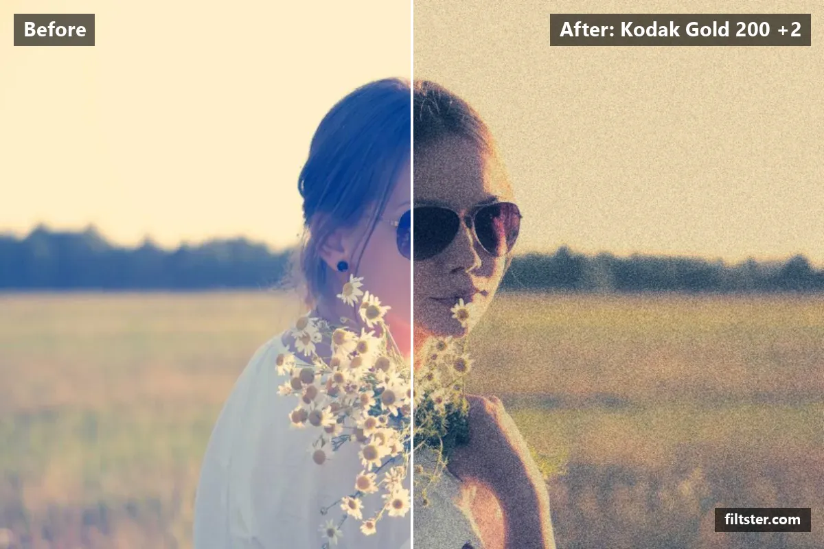 Kodak Gold 200 +2 filter before and after. Recovers bright highlights, tints shadows blue and highlights golden and adds film grain.