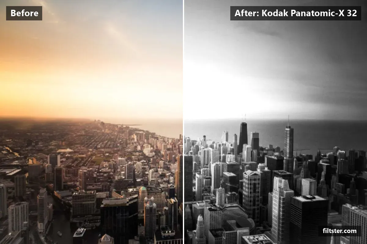 Kodak Panatomic-X 32 filter before and after. Turns the picture black and white.