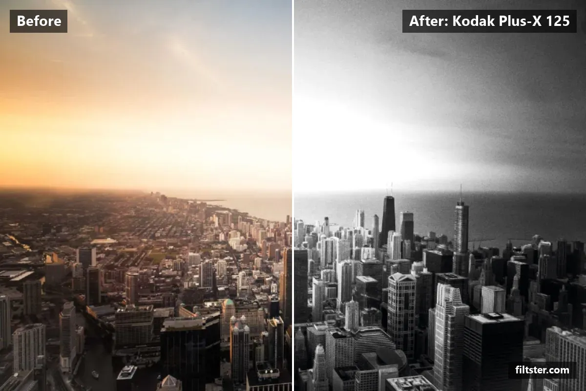 Kodak Plus-X 125 filter before and after. Turns the picture black and white and adds film grain.