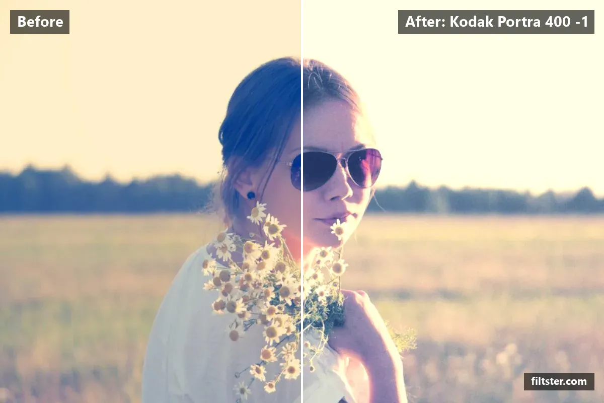 Kodak Portra 400 -1 filter before and after. Brightens the whole frame, softens contrast, opens up the shadows, recovers bright highlights, adds a golden glow to the highlights and adds film grain.