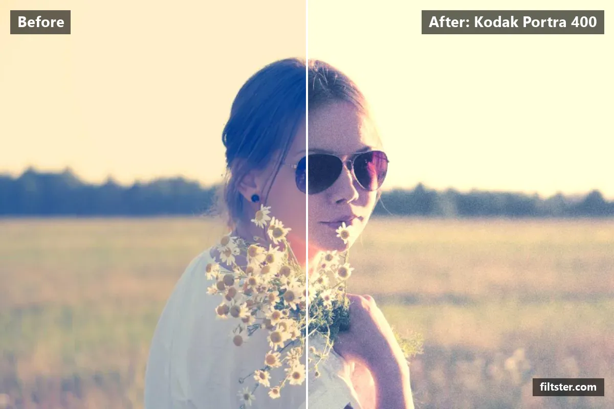 Kodak Portra 400 filter before and after. Brightens the whole frame, opens up the shadows, recovers bright highlights, adds a golden glow to the highlights and adds film grain.