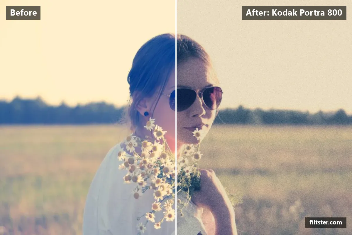 Kodak Portra 800 filter before and after. Softens contrast, opens up the shadows, recovers bright highlights and adds film grain.