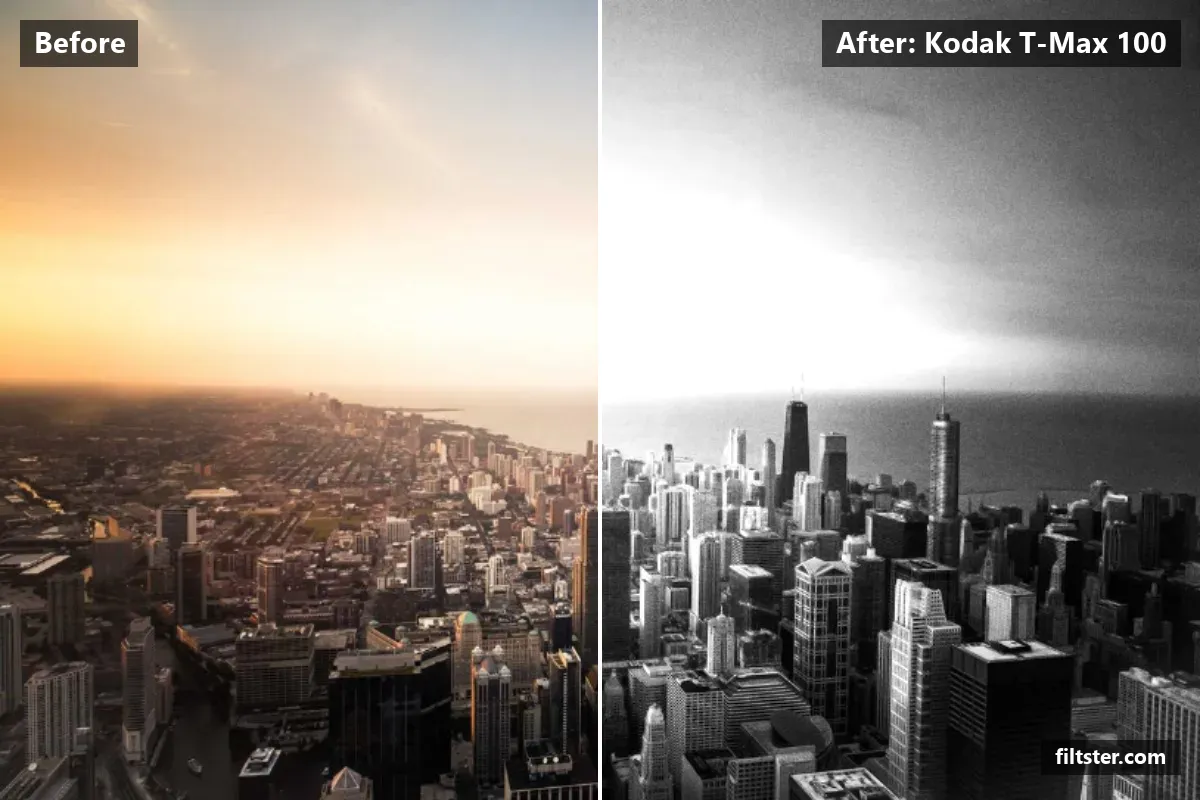 Kodak T-Max 100 filter before and after. Turns the picture black and white and adds film grain.