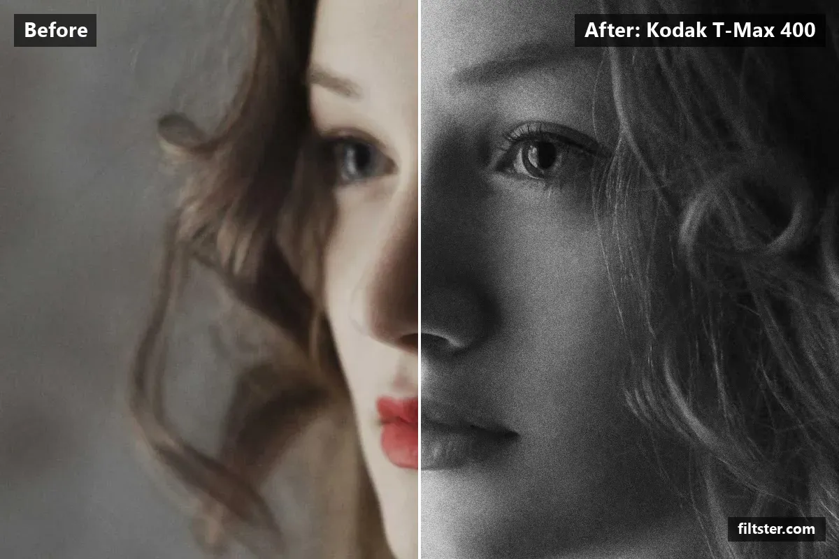 Kodak T-Max 400 filter before and after. Turns the picture black and white, adds strong contrast and adds film grain.