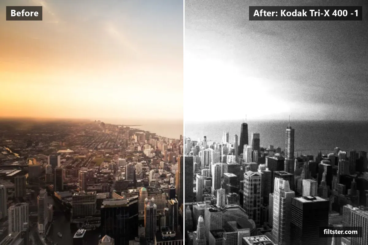 Kodak Tri-X 400 -1 filter before and after. Turns the picture black and white, opens up the shadows and adds film grain.