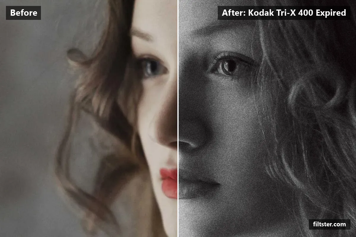 Kodak Tri-X 400 Expired filter before and after. Turns the picture black and white, opens up the shadows and adds film grain.