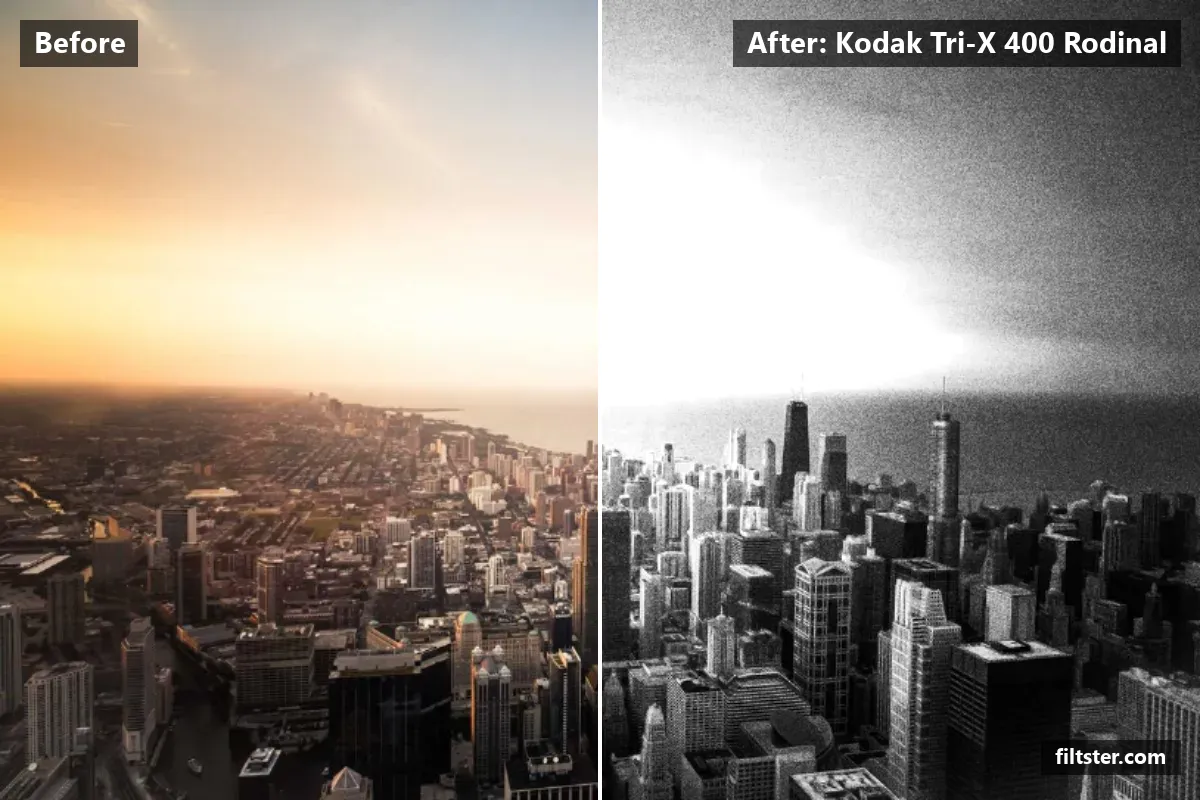 Kodak Tri-X 400 Rodinal filter before and after. Turns the picture black and white, adds strong contrast and adds film grain.