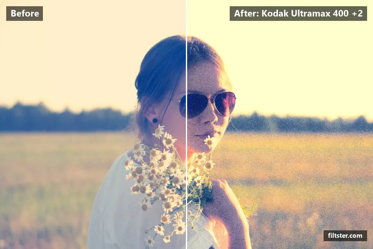 Kodak Ultramax 400 +2 filter before and after. Adds strong contrast, recovers bright highlights, tints shadows blue and highlights golden and adds film grain.
