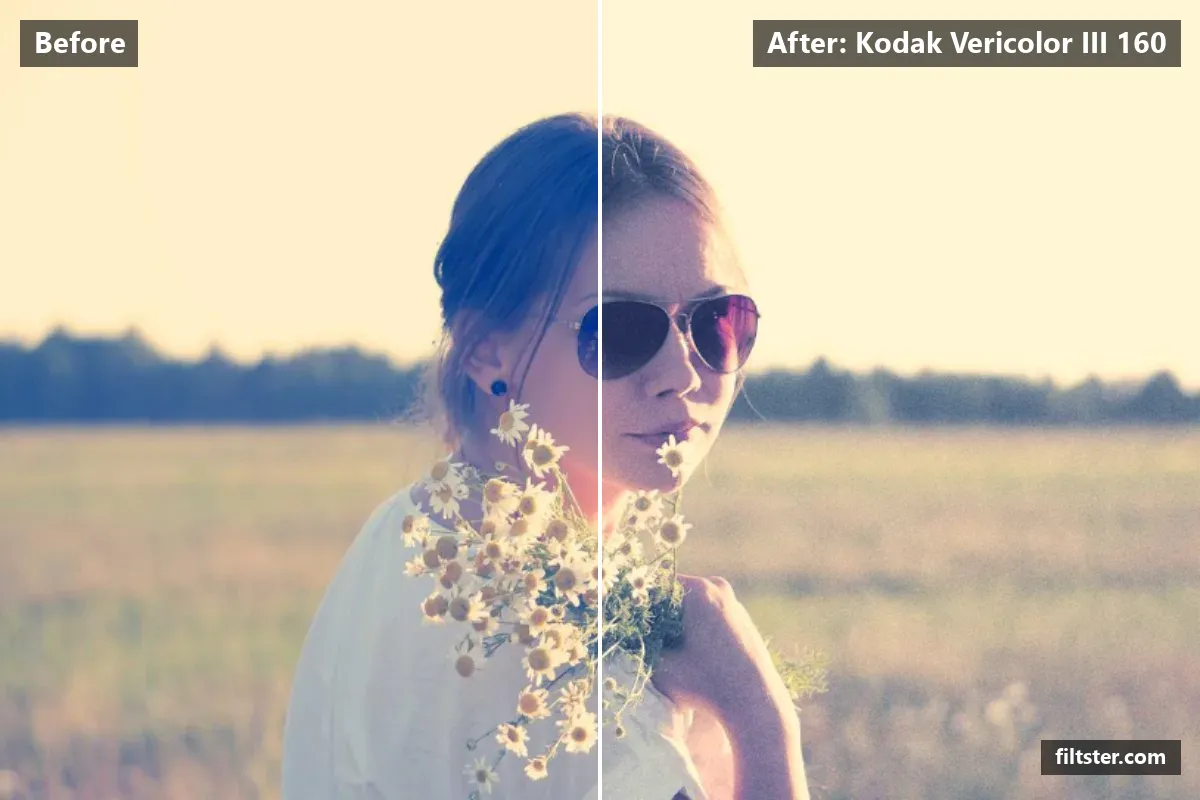 Kodak Vericolor III 160 filter before and after. Brightens the whole frame, softens contrast, recovers bright highlights and adds film grain.