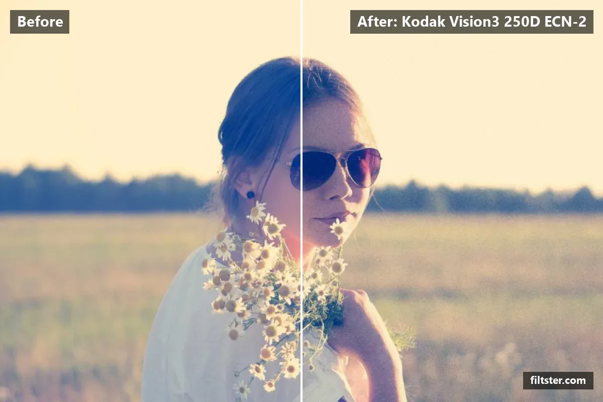 Kodak Vision3 250D ECN-2 filter before and after. Adds strong contrast, recovers bright highlights and adds film grain.