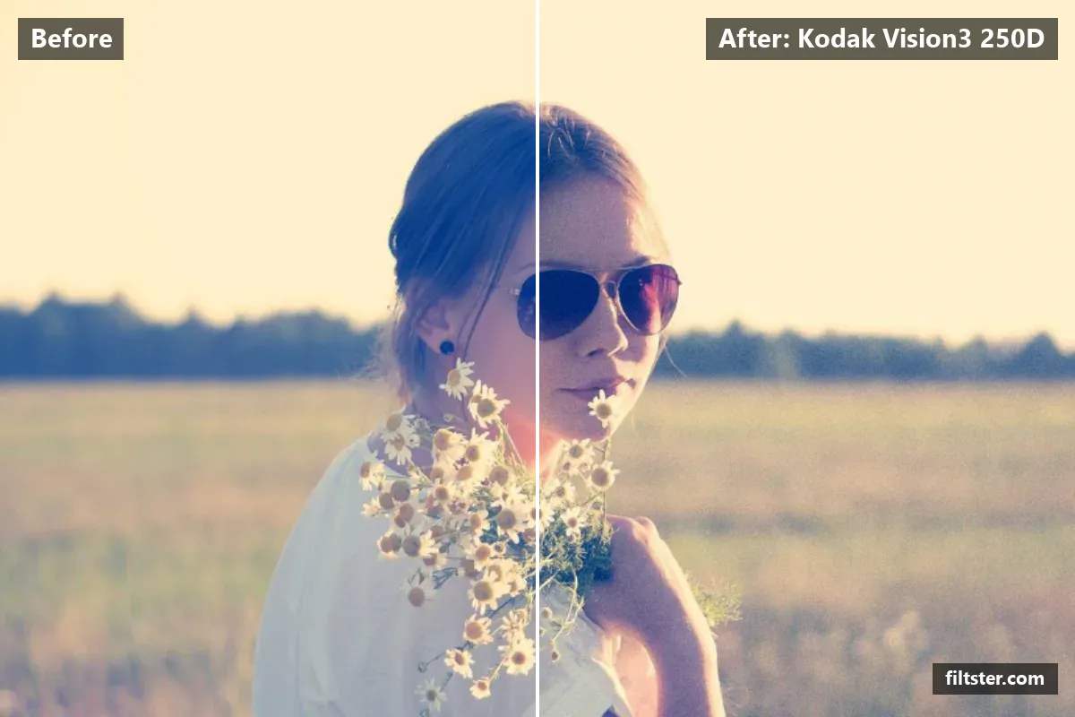 Kodak Vision3 250D filter before and after. Adds strong contrast, recovers bright highlights and adds film grain.