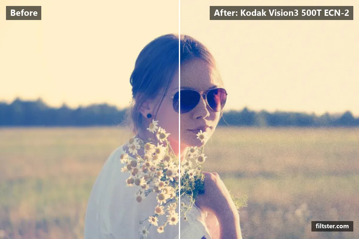 Kodak Vision3 500T ECN-2 filter before and after. Adds strong contrast, recovers bright highlights and adds film grain.