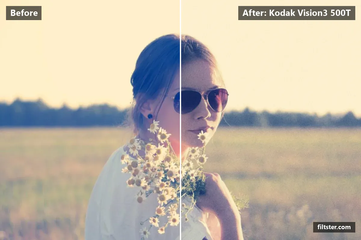 Kodak Vision3 500T filter before and after. Adds strong contrast, recovers bright highlights and adds film grain.